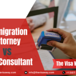 Immigration Lawyer vs Visa Consultant guide for visa applicants