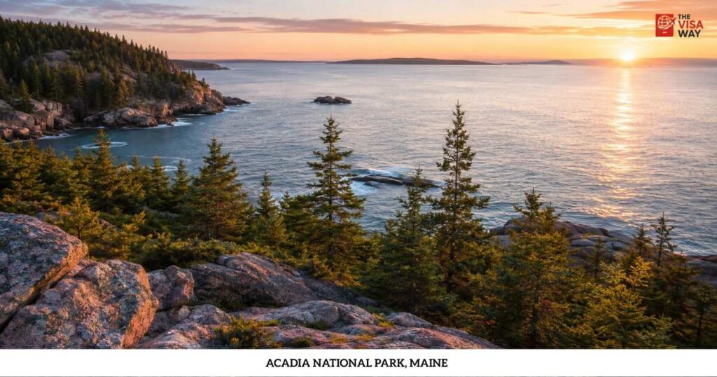 Rocky coastline and evergreen forest at sunset in Acadia National Park, Maine