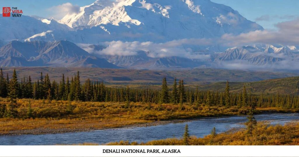 Snow-covered Denali mountain rising above forests and a winding river in Alaska