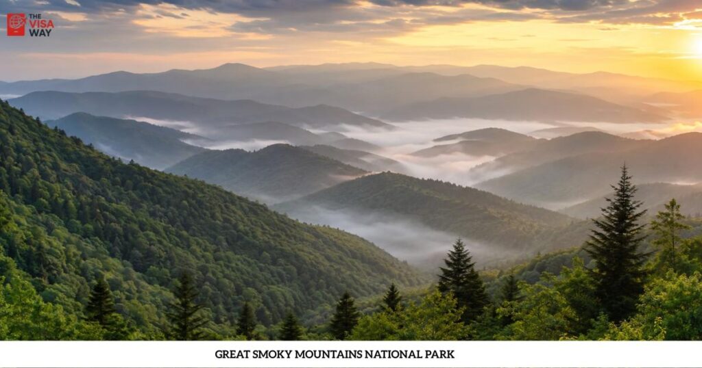 Mist-covered mountain ridges at sunrise in Great Smoky Mountains National Park