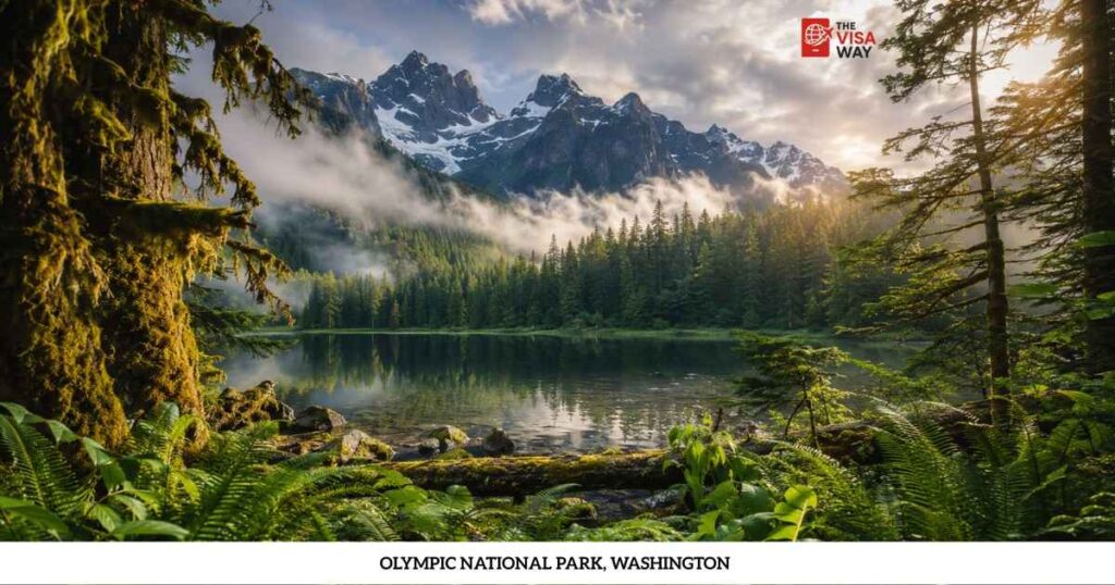 Snow-capped mountains and a calm lake surrounded by rainforest in Olympic National Park, Washington